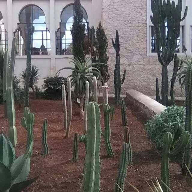 Les Jardins De Mogador Yoga Et Spa As-Suwajra Zewnętrze zdjęcie
